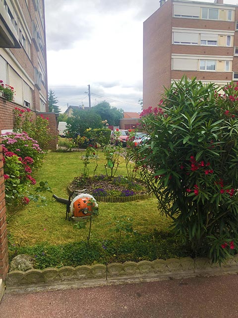 jardinage propreté