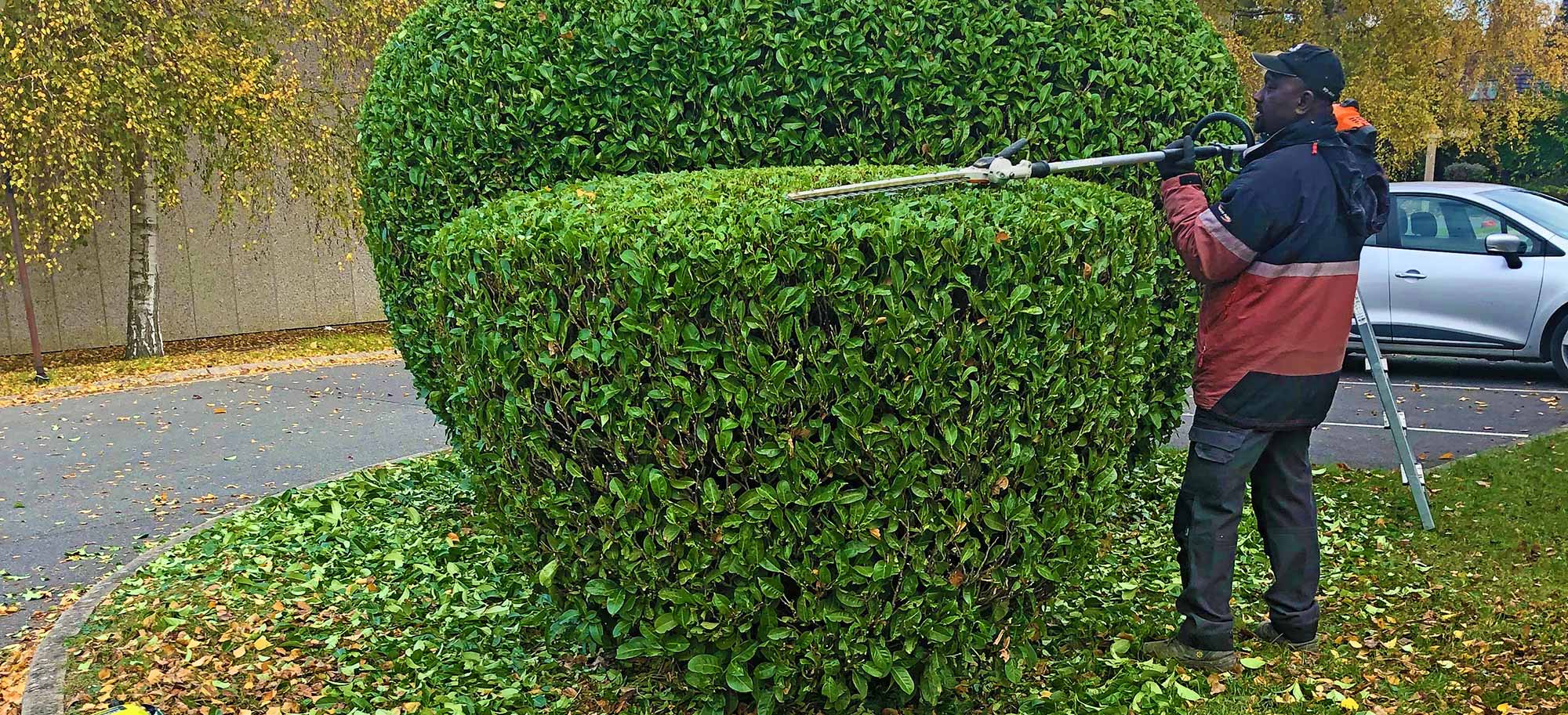 Création de jardins