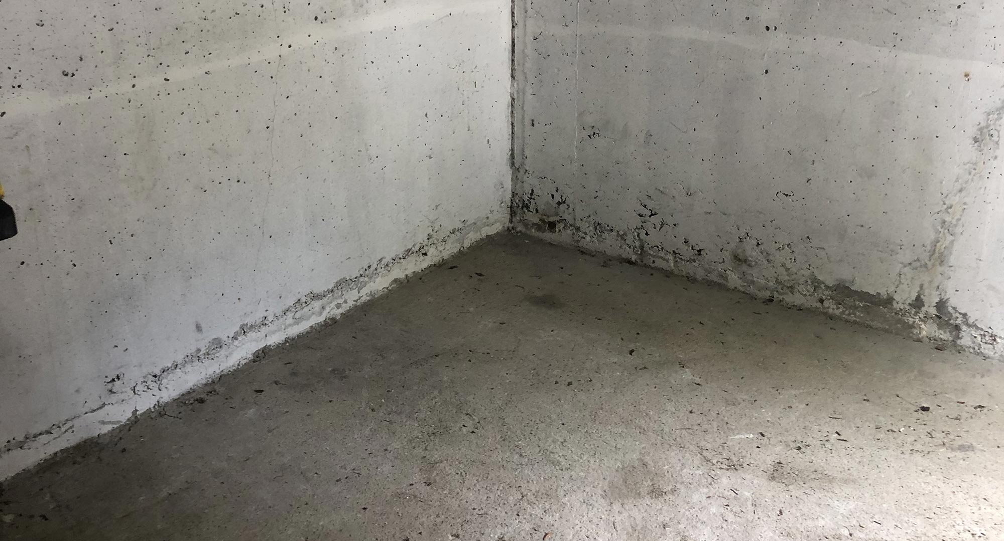 Débarras des locaux & caves