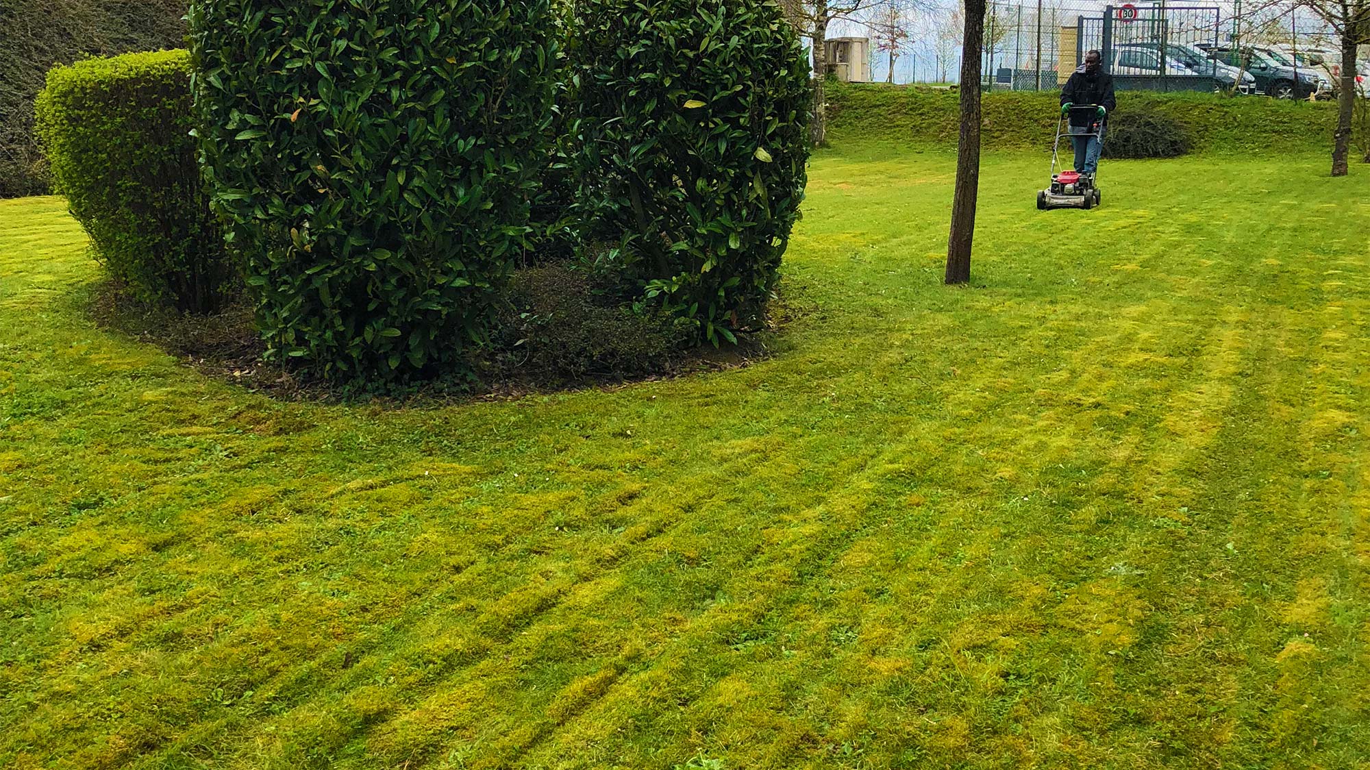 Création de jardins